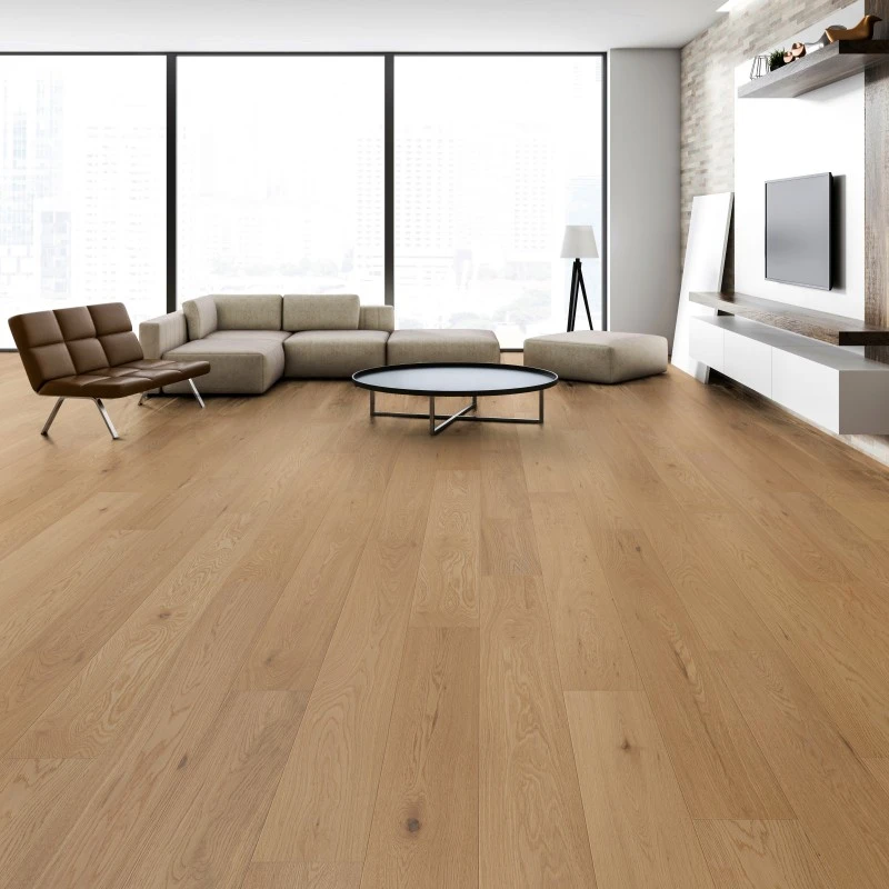 product-800-800